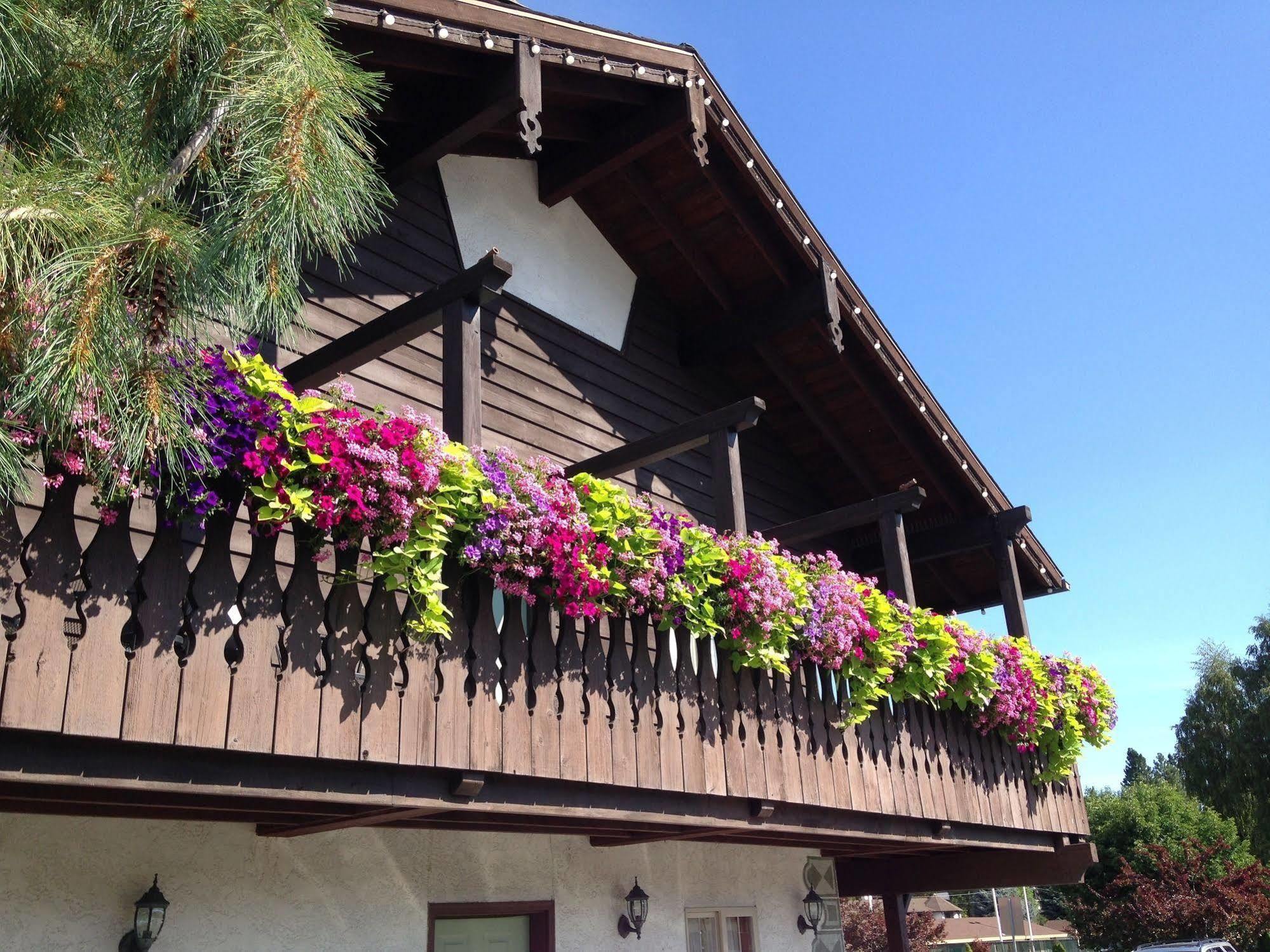 Linderhof Inn Leavenworth Dış mekan fotoğraf